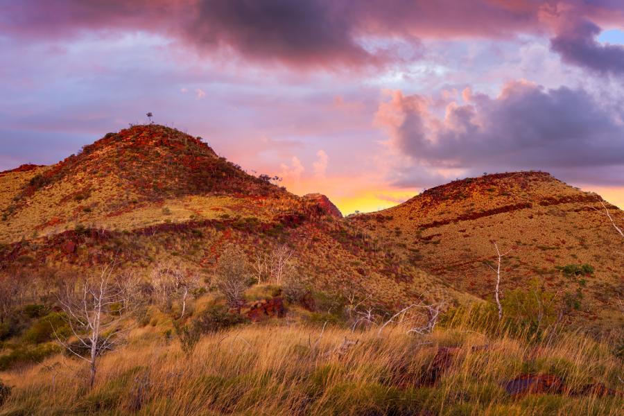 Mount Bruce at sunset
