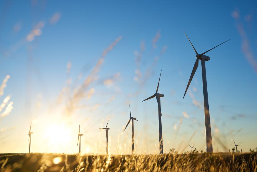 Wind farm