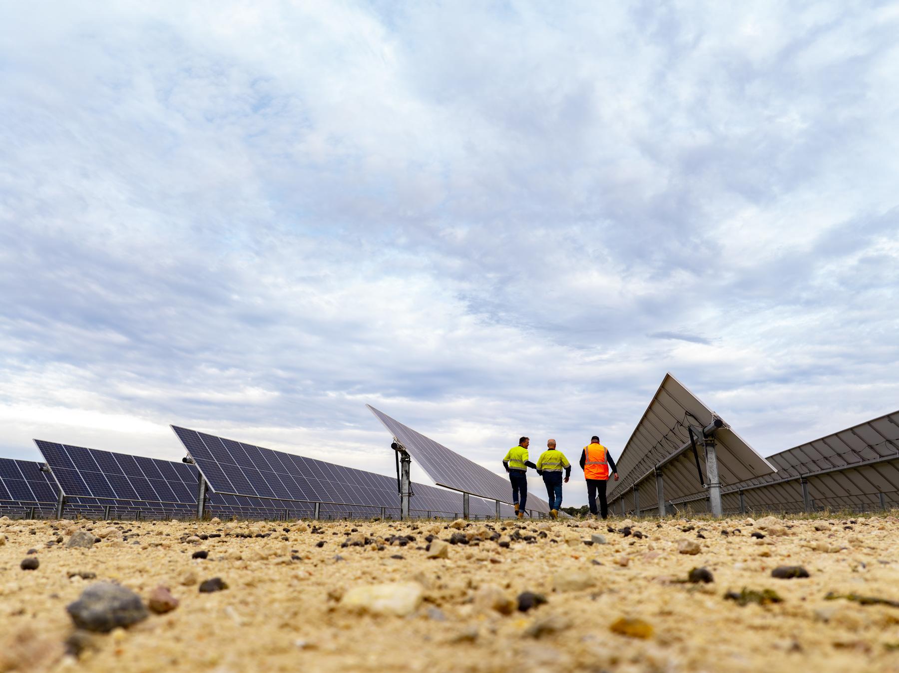 Three workers in high-vis workwear walking between rows of solar panels.