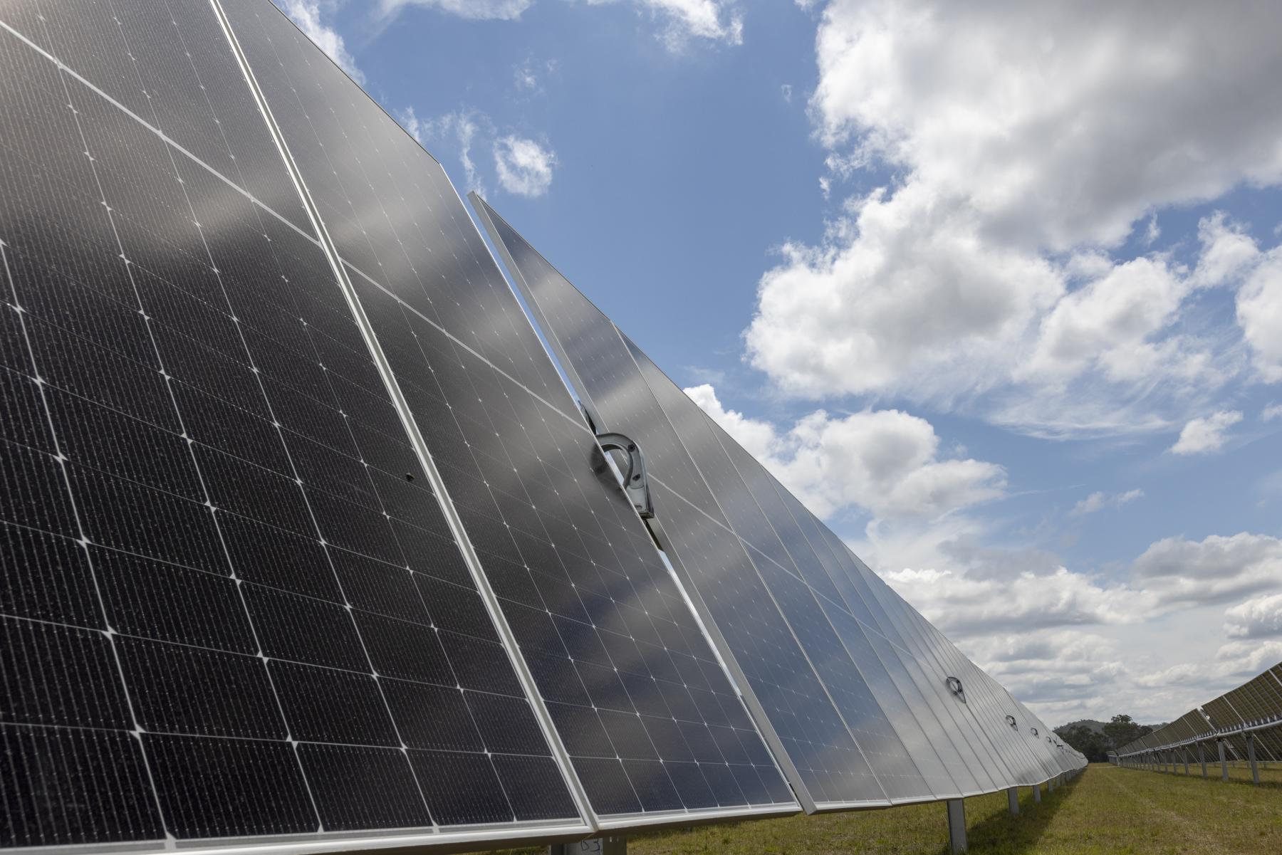 An array of solar panels at Aldoga Solar Farm