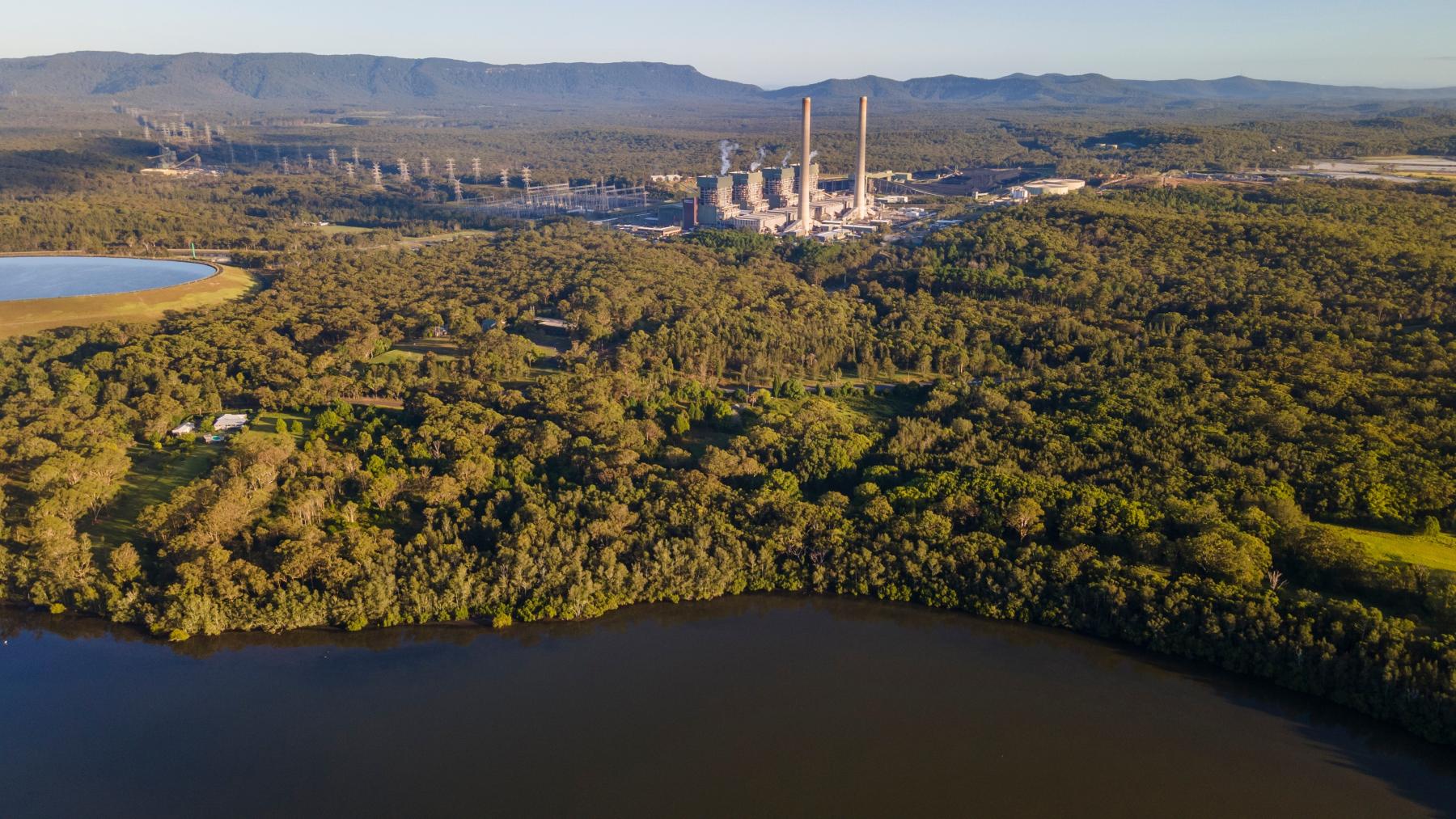 Aerial shot of Eraring Power Station surrounded by forest