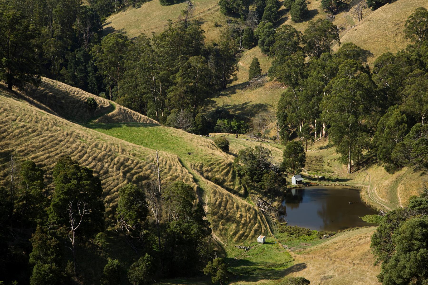 Farm dam at the bottom of a valley