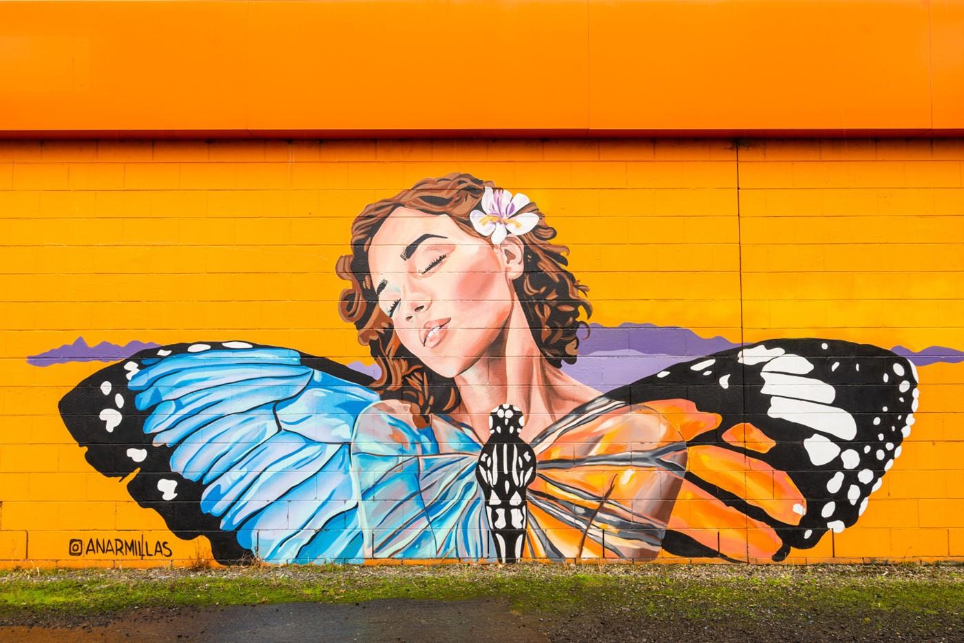 A wall mural displaying a young woman behind a butterfly with differently coloured wings