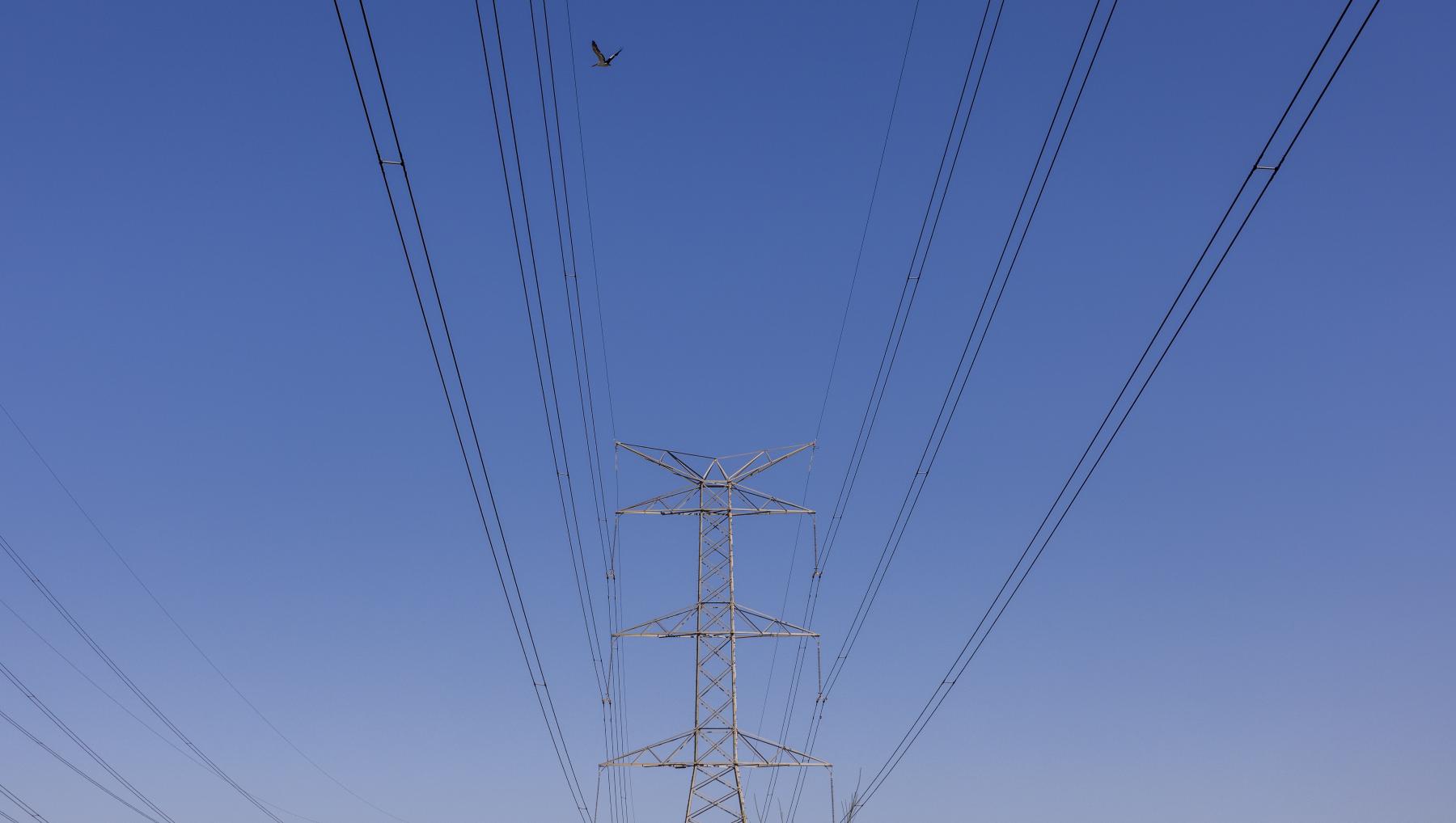 Liddell Power Station Powerlines