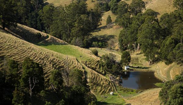 Dam in the Latrobe Valley