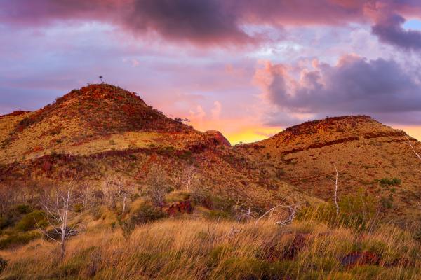 Mount Bruce at sunset
