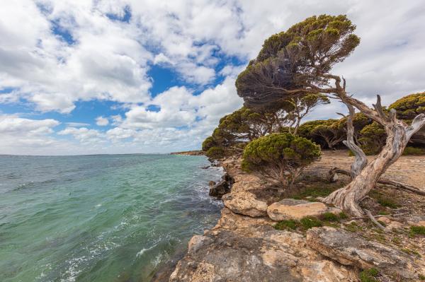 Spencer Gulf shoreline