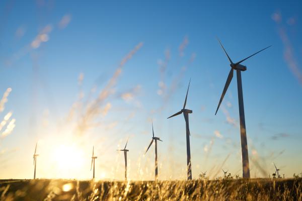Wind farm