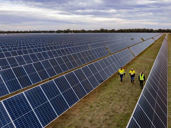 Three workers in high-vis gear walk through a solar farm
