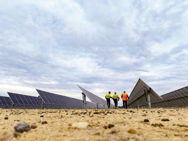 Three workers in high-vis workwear walking between rows of solar panels.