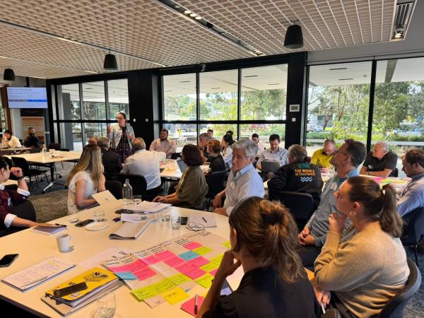 Workshop participants in a room, gathered around tables