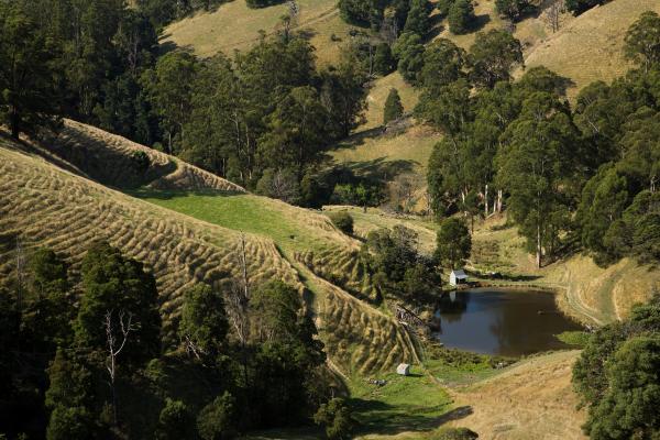 Farm dam at the bottom of a valley