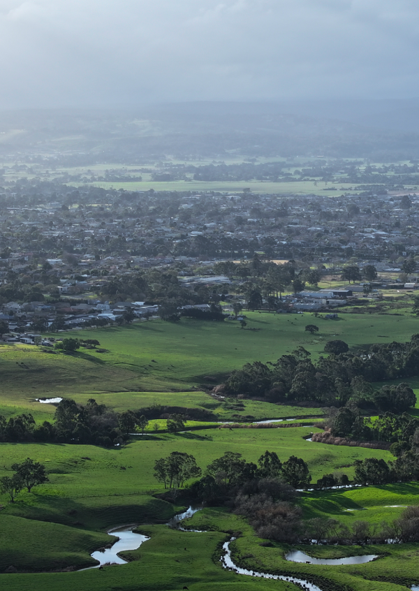 A town on a green landscape