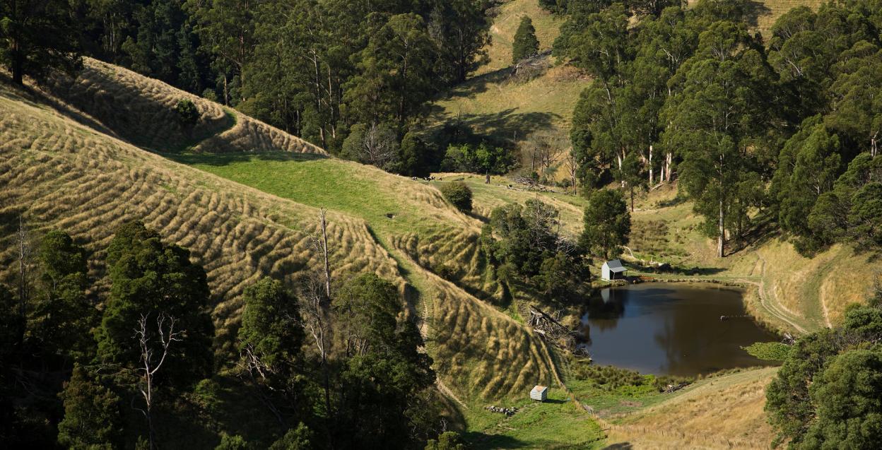 Farm, Latrobe Valley, Victoria